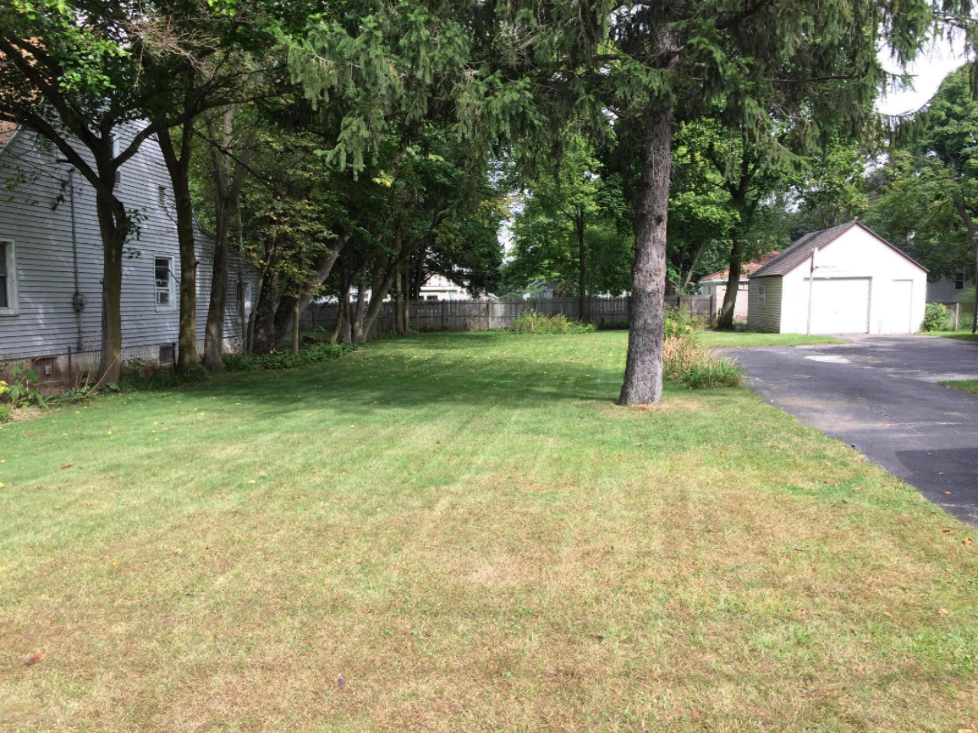 731 4 Mile Road Northeast Grand Rapids, MI 49525 - Photo 14 of 16 yard 1
