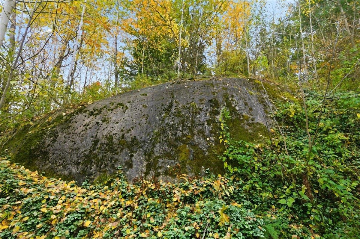 56 Temple Street Burlington, VT 05408 - Photo 43 of 59