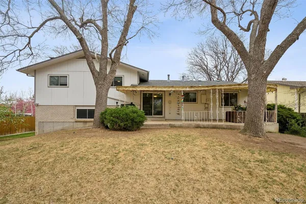front view of a house with a large tree