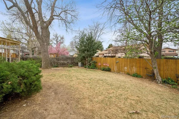a pathway of a yard