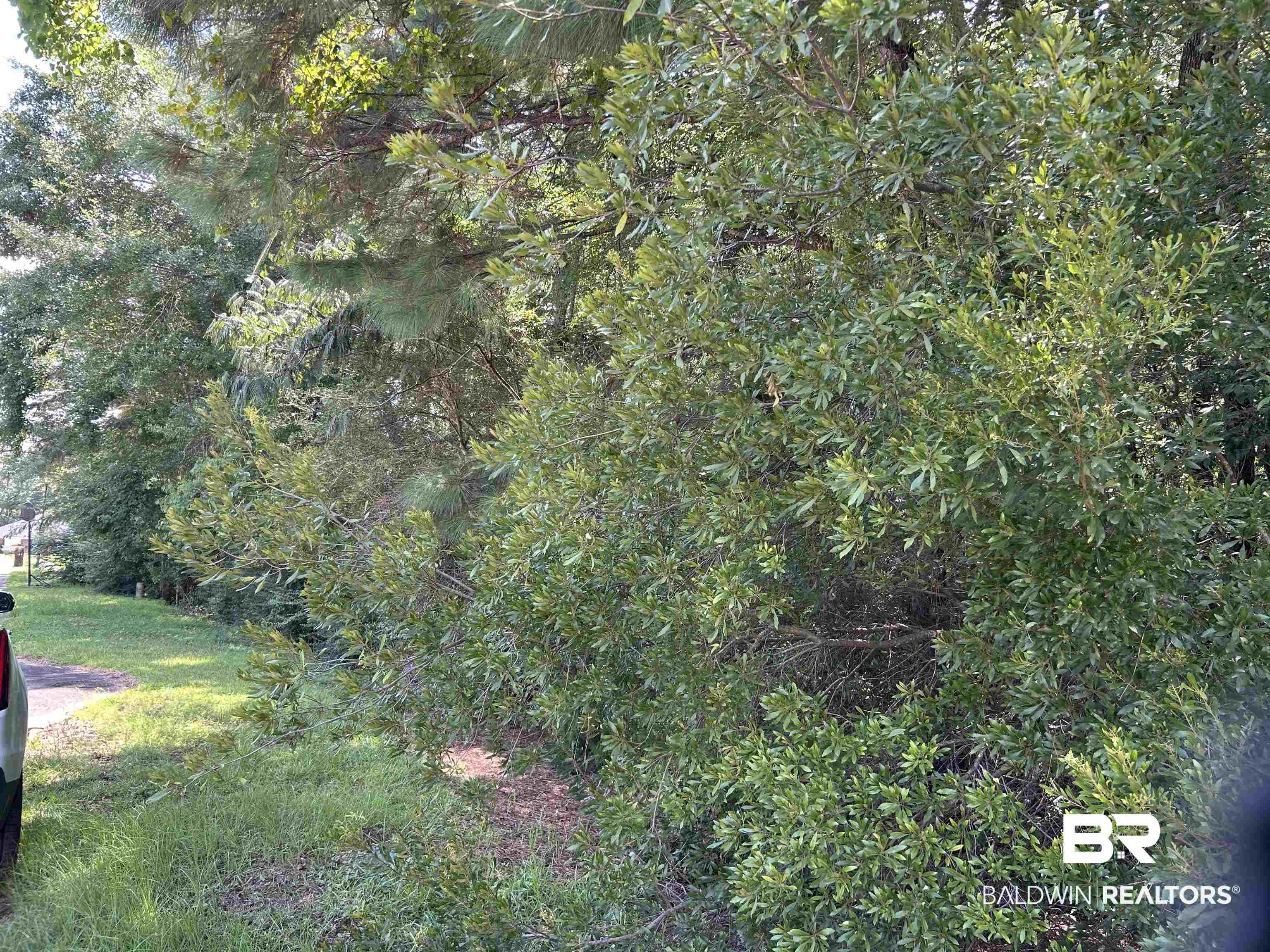 Eight Mile Al Eight Mile, AL 36613 - Photo 2 of 3 View of undeveloped land
