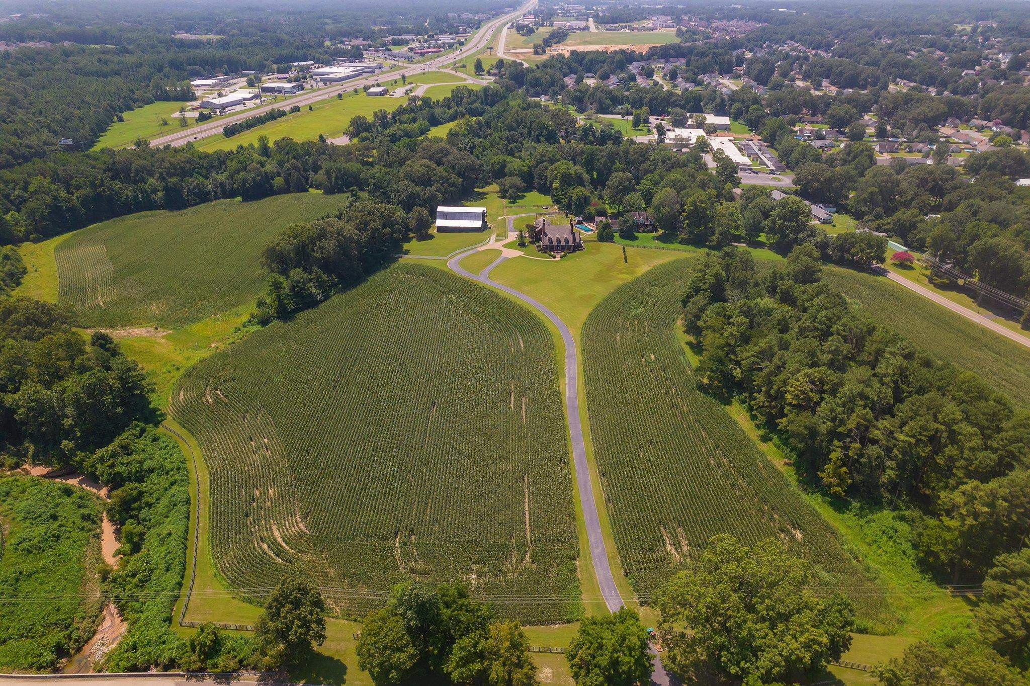 1188 Ashport Road Jackson, TN 38305 - Photo 6 of 47 Photo 6