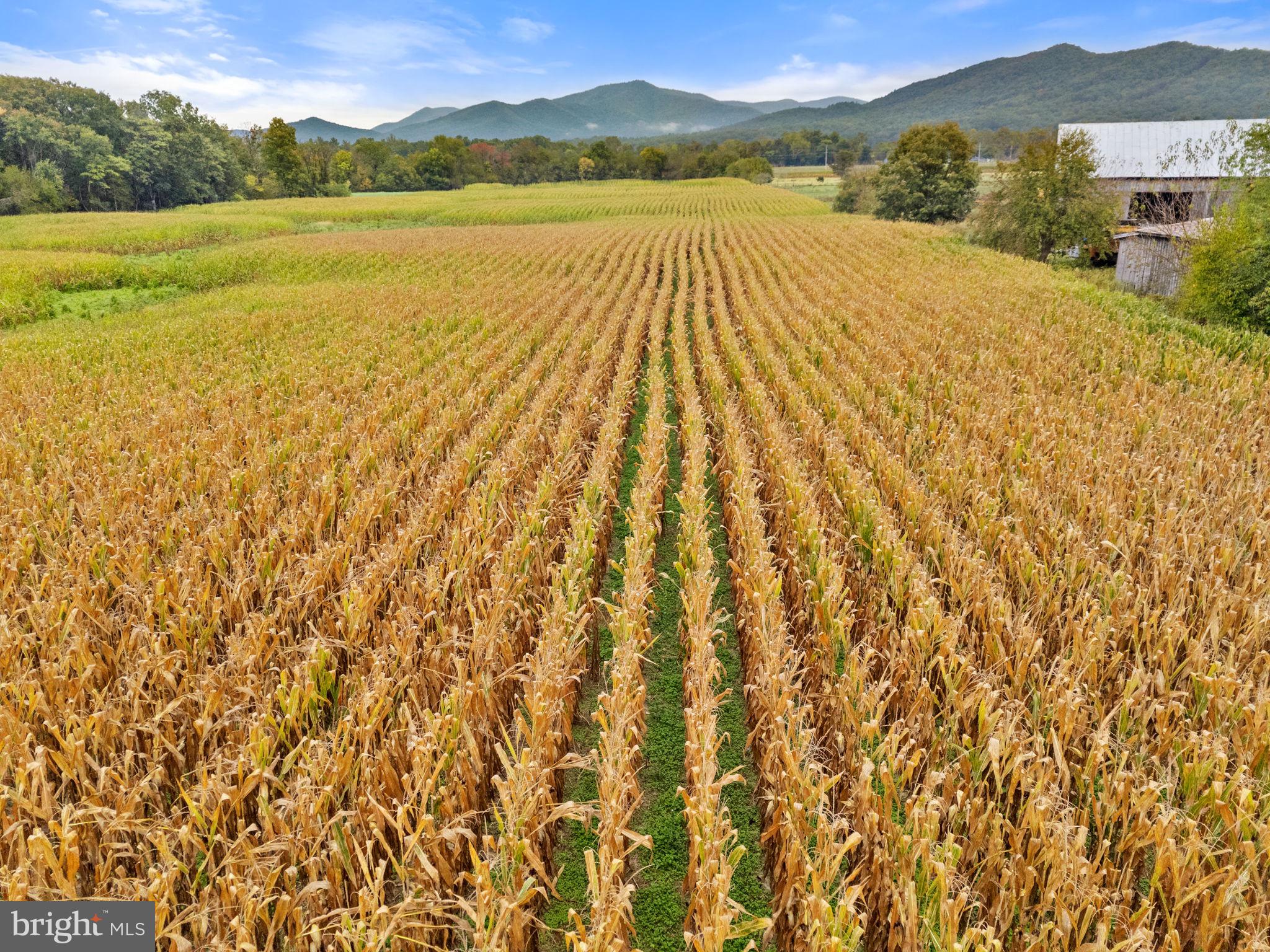 0 Fairview Road Luray, VA 22835 - Photo 19 of 23 a view of lake and mountain