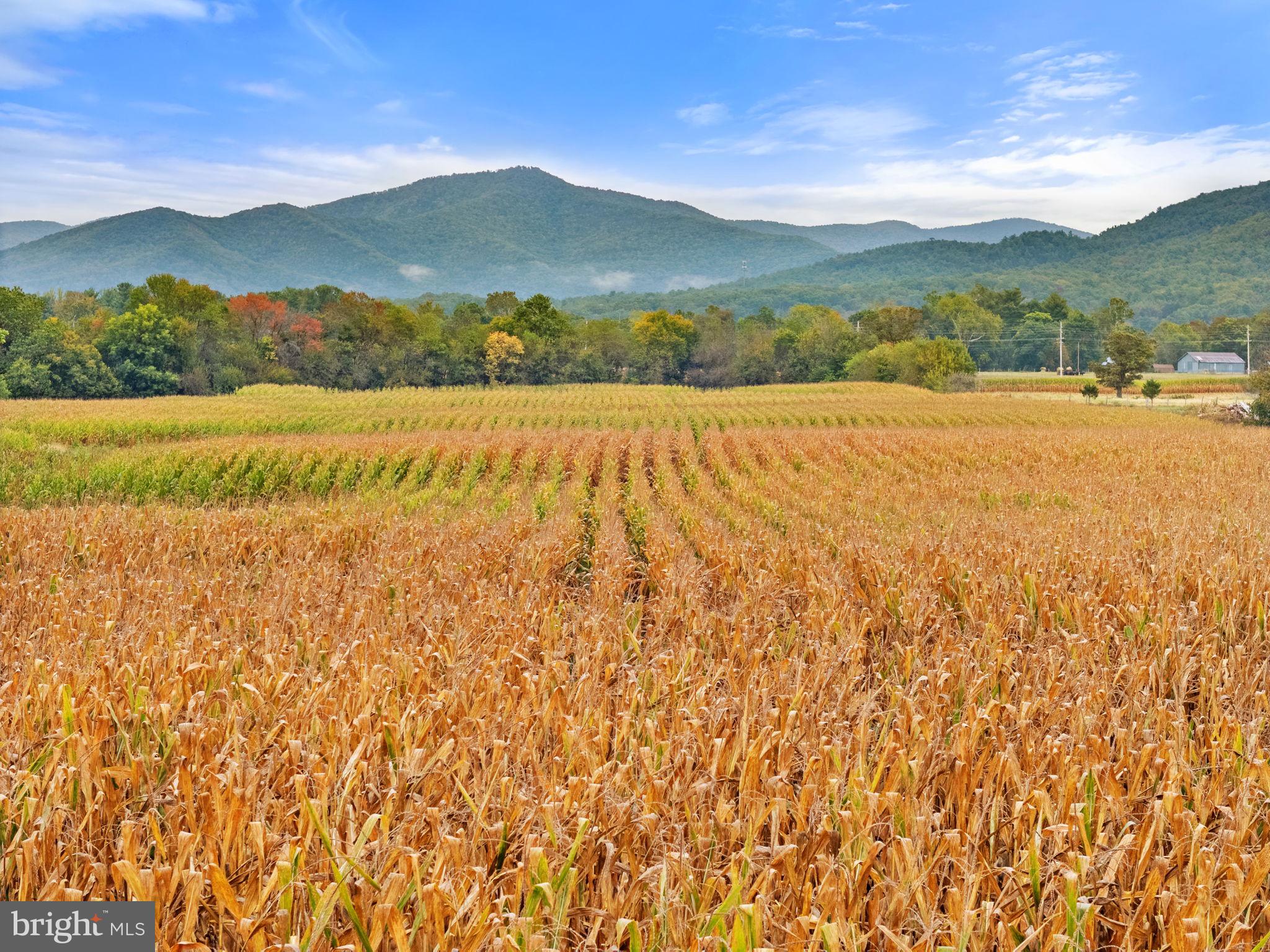0 Fairview Road Luray, VA 22835 - Photo 20 of 23 a view of lake and mountain