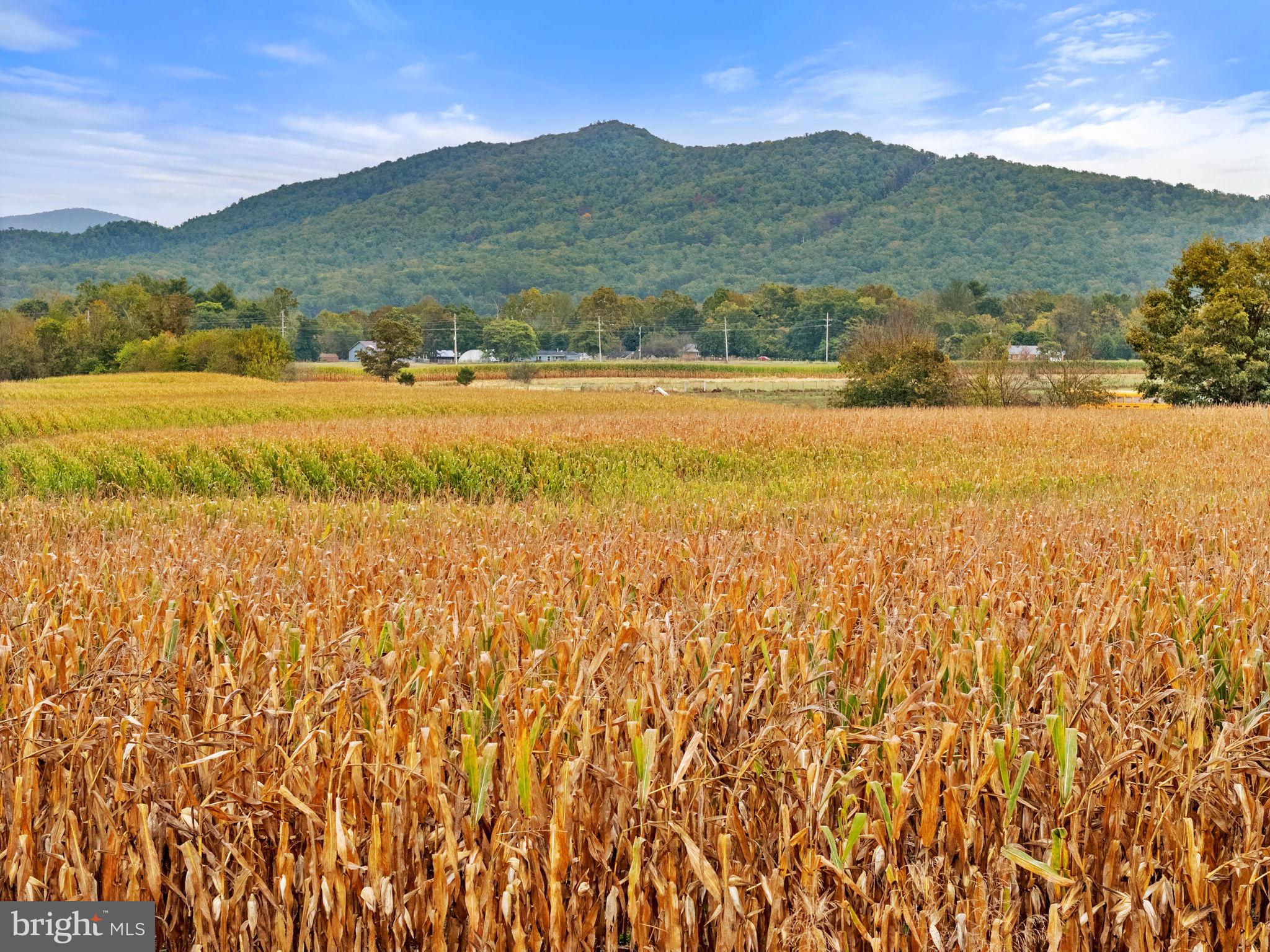 0 Fairview Road Luray, VA 22835 - Photo 21 of 23 a view of mountain with lake view