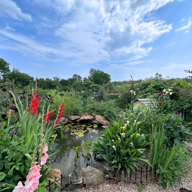 3638 Spring Grove Road Spout Spring, VA 24522 - Photo 4 of 9 a view of a flower in a garden