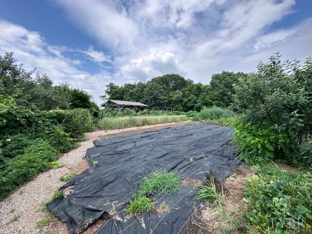 3638 Spring Grove Road Spout Spring, VA 24522 - Photo 8 of 9