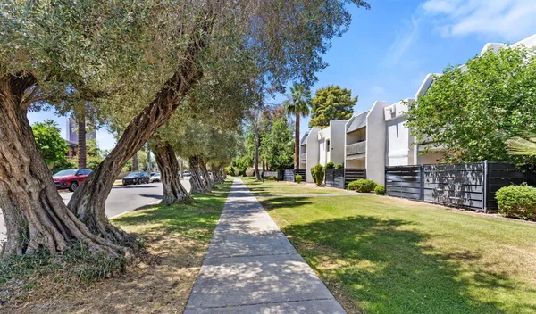 $1,695 | 302 East Monte Vista Road, Unit A17, Phoenix, AZ 85004