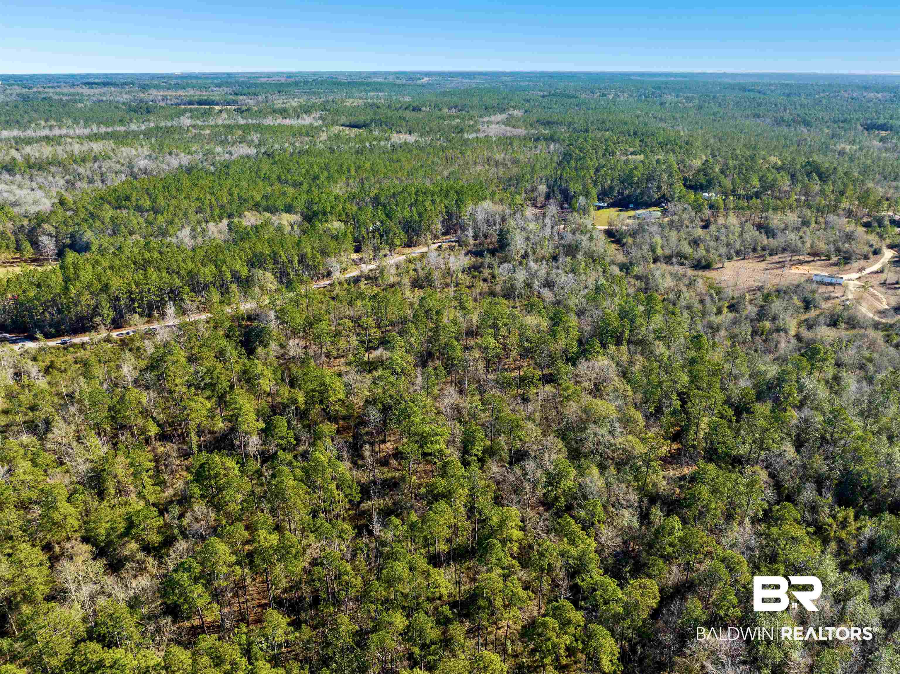 51381 Propst Road Bay Minette, AL 36507 - Photo 6 of 18