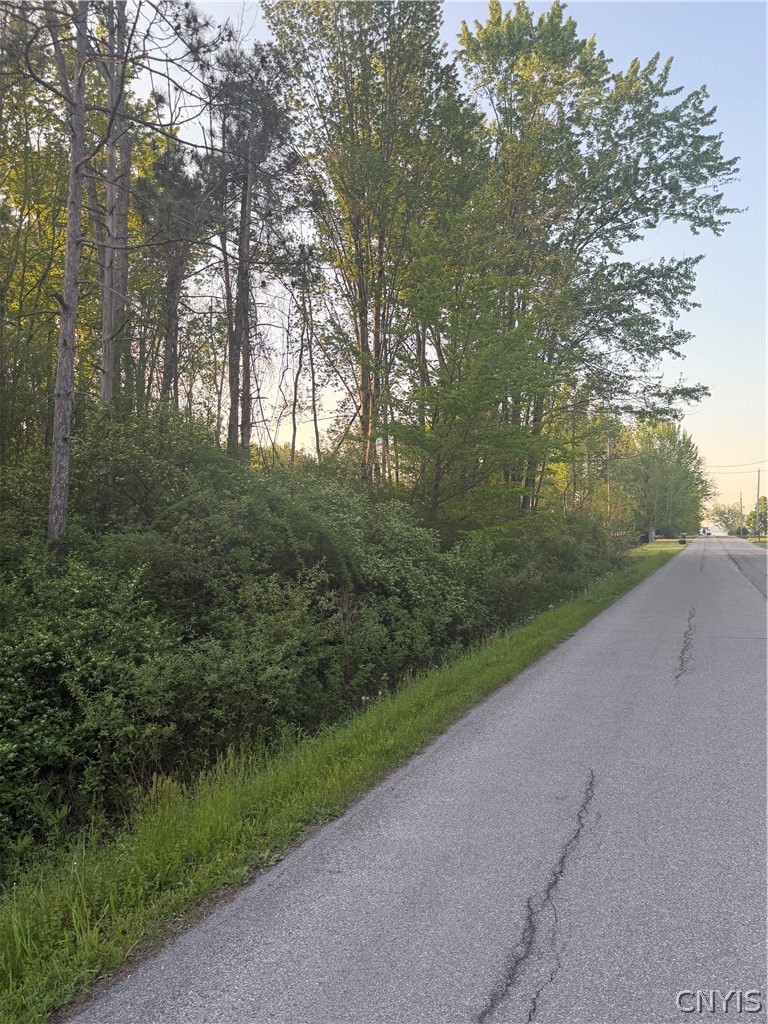 Miner Road Chittenango, NY 13037 - Photo 17 of 19