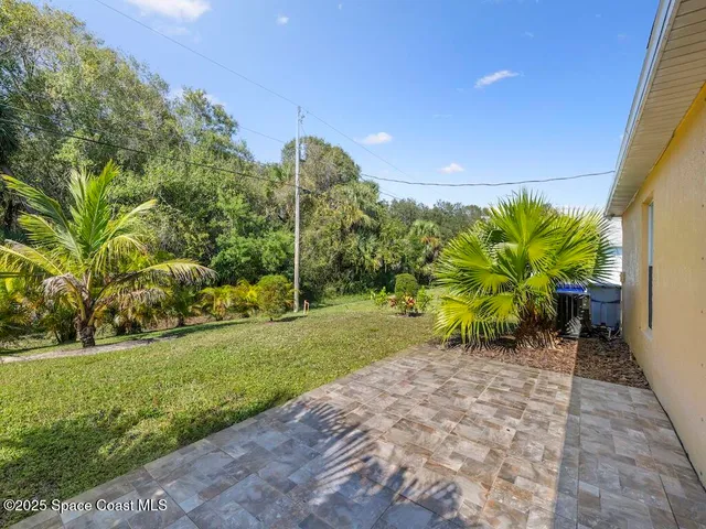 a view of a garden with plants