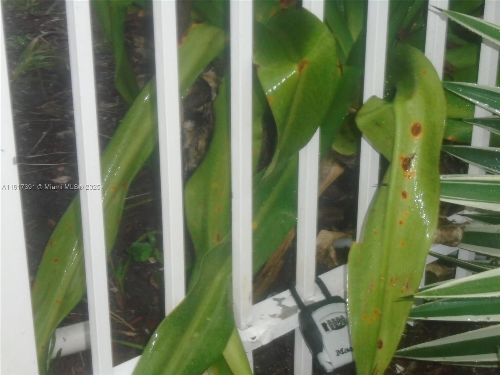 7051 Environ Boulevard, Unit 136 Lauderhill, FL 33319 - Photo 6 of 23 a view of an entryway