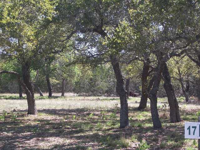 1156 Beauchamp Road Dripping Springs, TX 78620 - Photo 1 of 1