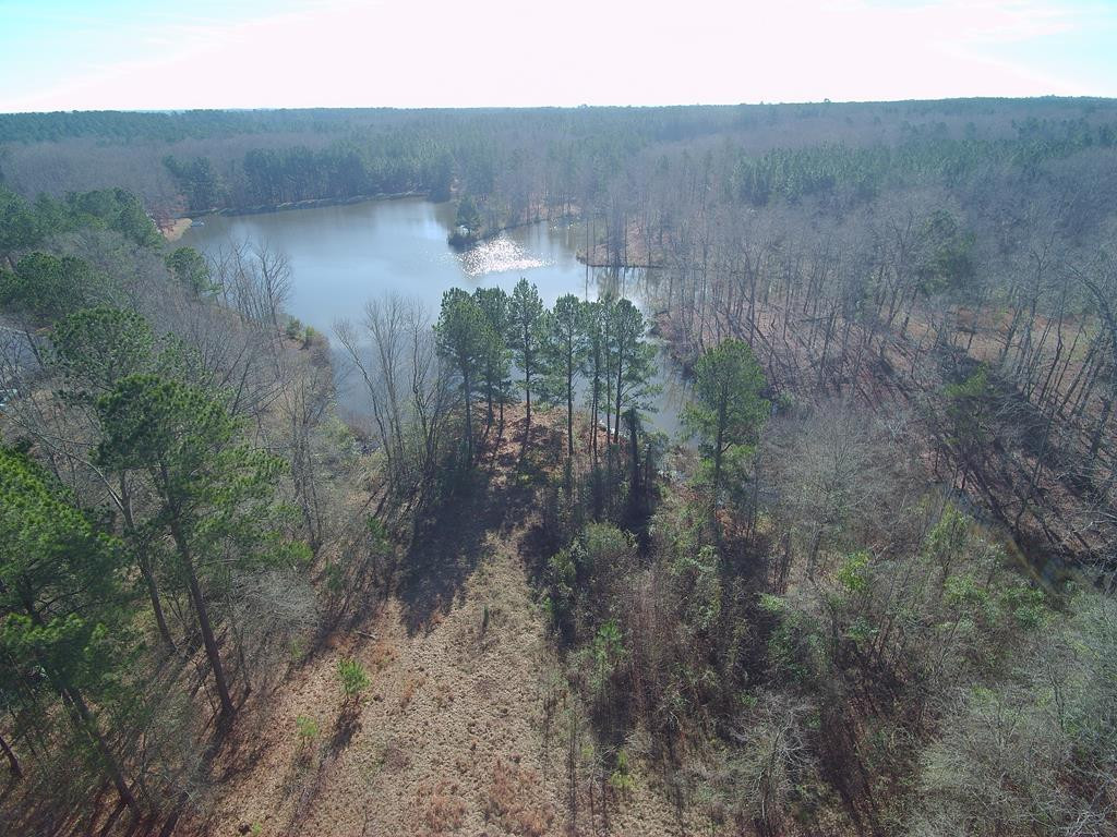 223 Olmstead Lane Appling, GA 30802 - Photo 11 of 14 Gallery Image 11