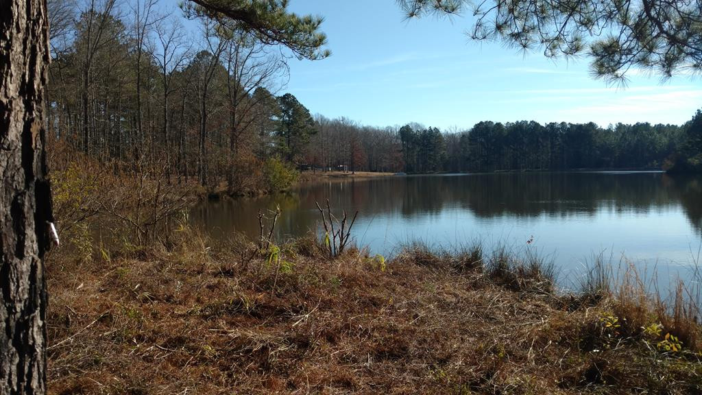 223 Olmstead Lane Appling, GA 30802 - Photo 3 of 14 Gallery Image 3