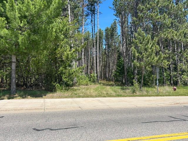 Xxx Ridgewood Road Grand Rapids, MN 55744 - Photo 3 of 7