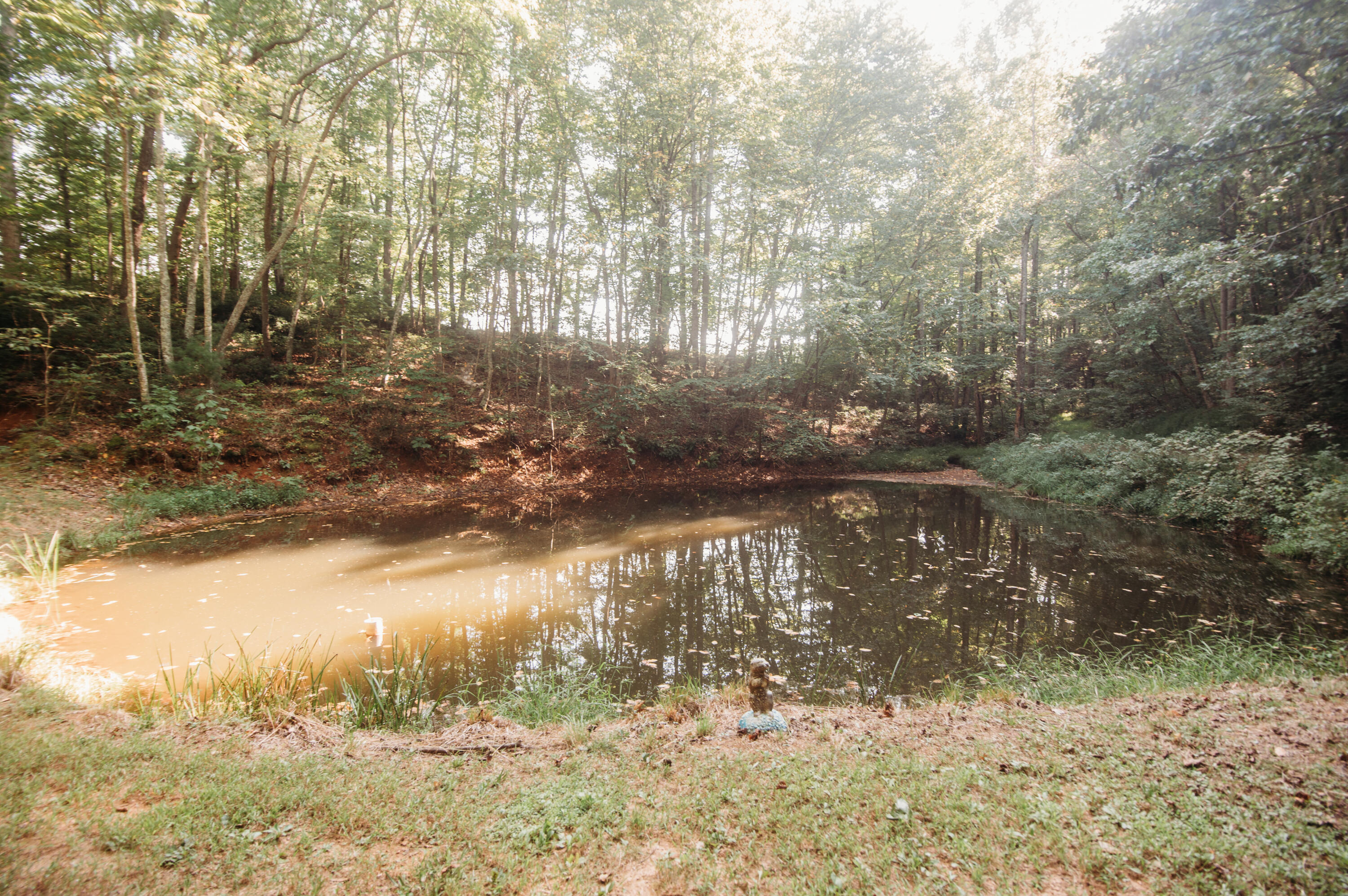 3197 Lee Elgin Road Woolwine, VA 24185 - Photo 40 of 46 a view of lake