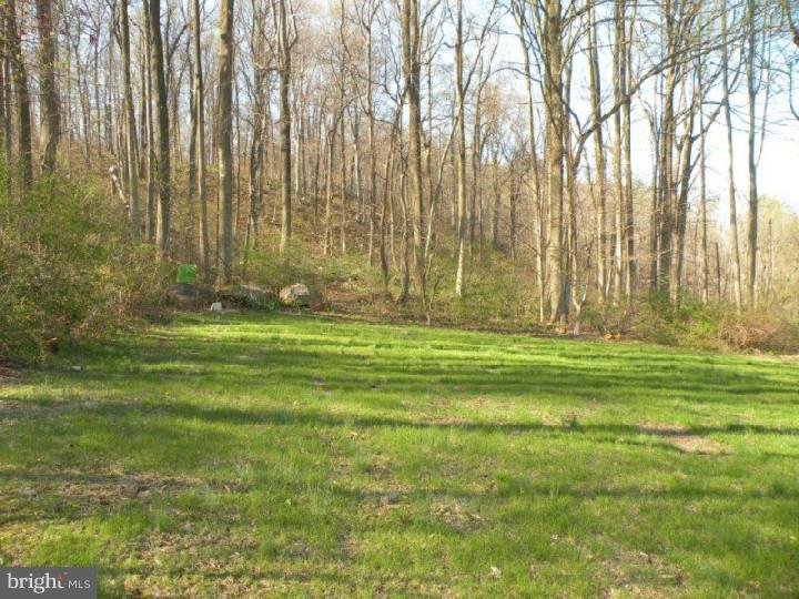 264 Treichler Road Alburtis, PA 18011 - Photo 18 of 22 Gallery Image 18