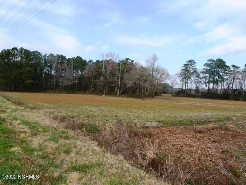 727 Willie Hatcher Road Chinquapin, NC 28521 - Photo 32 of 37 P1120601