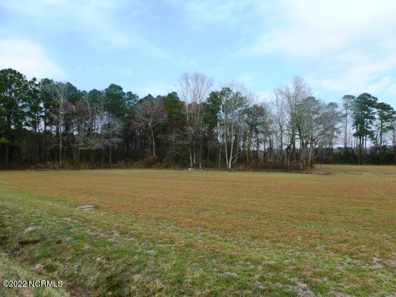 727 Willie Hatcher Road Chinquapin, NC 28521 - Photo 35 of 37 P1120606