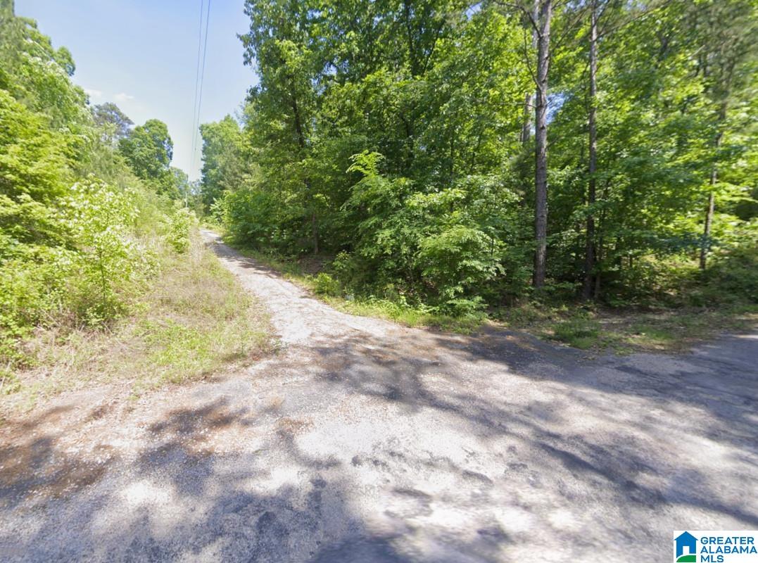 130 Evergreen Drive Springville, AL 35146 - Photo 1 of 20