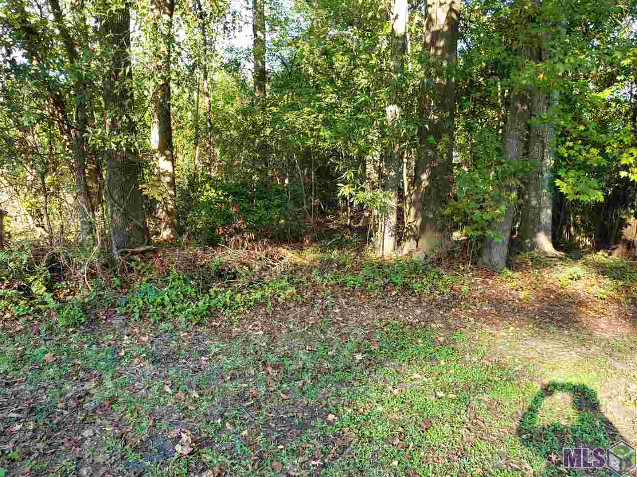 0 Brightside Drive Baton Rouge, LA 70820 - Photo 3 of 5 Gallery Image 3