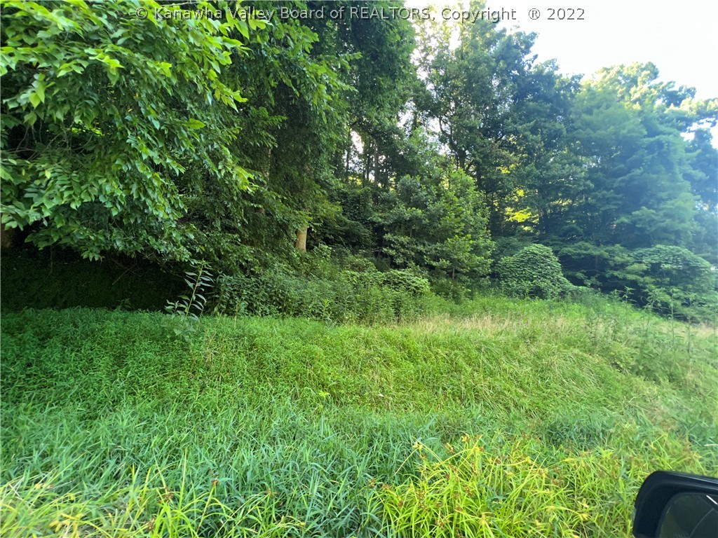 0 Ball Fork Road Danville, WV 25053 - Photo 5 of 11 Gallery Image 5
