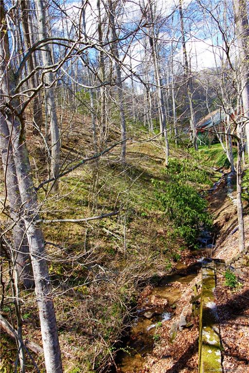 303 Riddle Cove Road, Unit 330 Maggie Valley, NC 28751 - Photo 19 of 24 a view of a yard with plants and trees