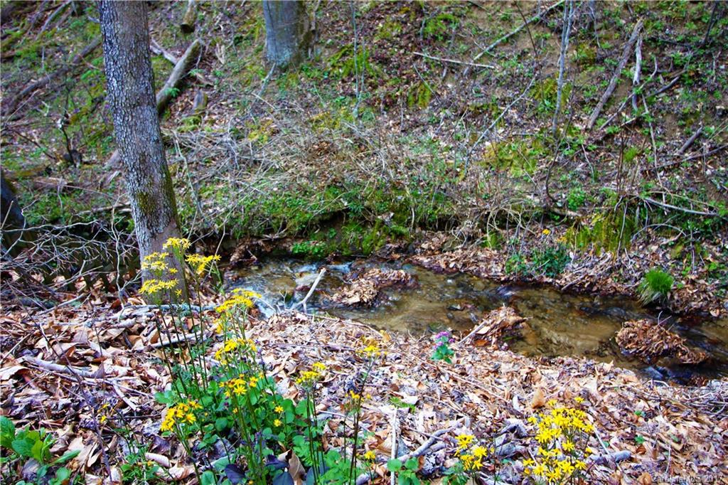 303 Riddle Cove Road, Unit 330 Maggie Valley, NC 28751 - Photo 20 of 24 a backyard of a house with lots of green space