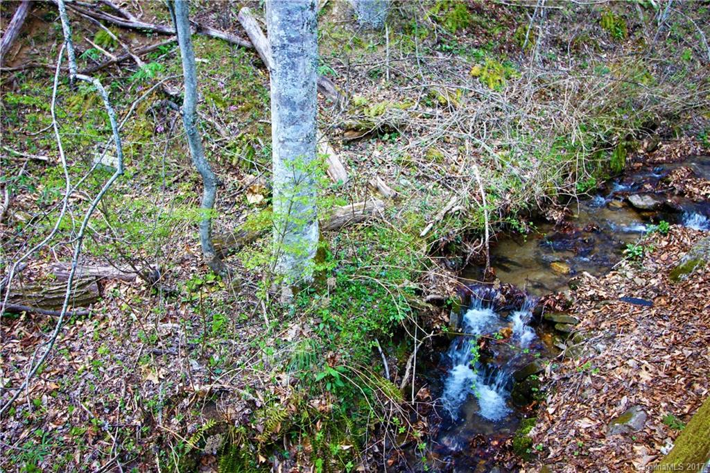 303 Riddle Cove Road, Unit 330 Maggie Valley, NC 28751 - Photo 21 of 24 a plant view in yard