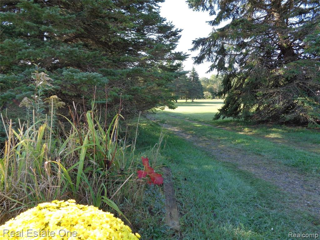 5960 Mills Road Deckerville, MI 48427 - Photo 2 of 79