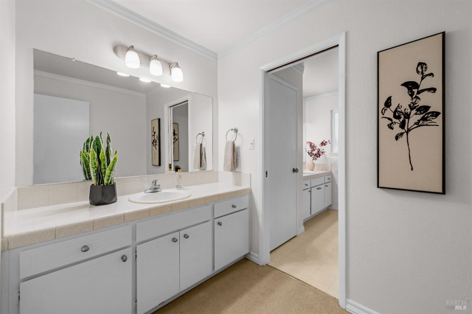 3996 Young Avenue Napa, CA 94558 - Photo 23 of 48 a spacious bathroom with a granite countertop sink a potted plant and a mirror