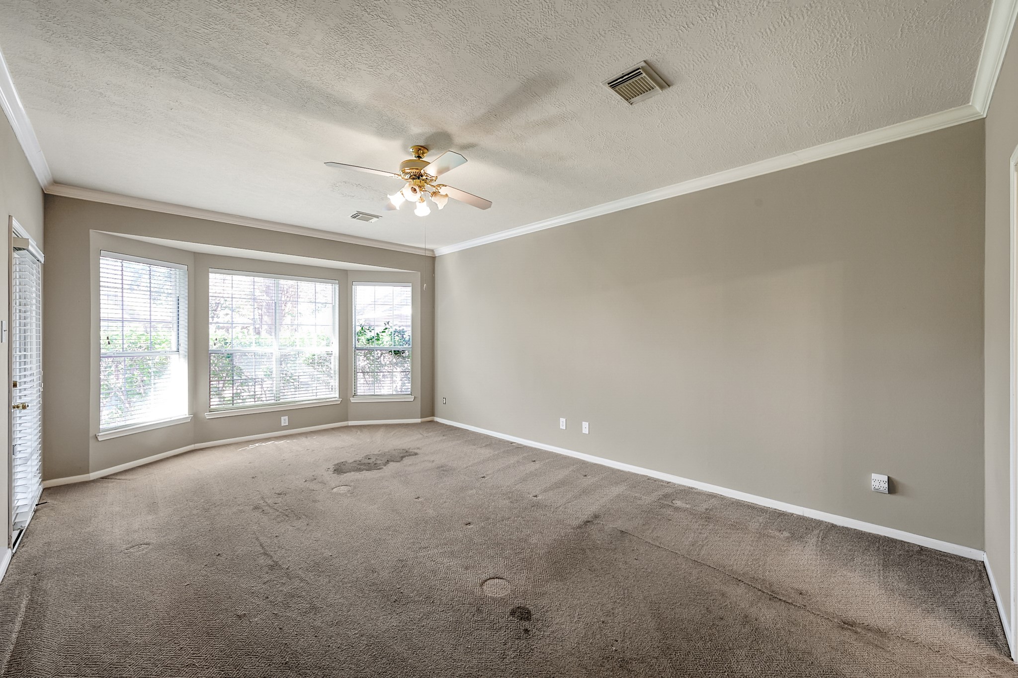 20403 Sagecombe Court Spring, TX 77388 - Photo 13 of 32 Master bedroom downstairs, with large windows for natural light