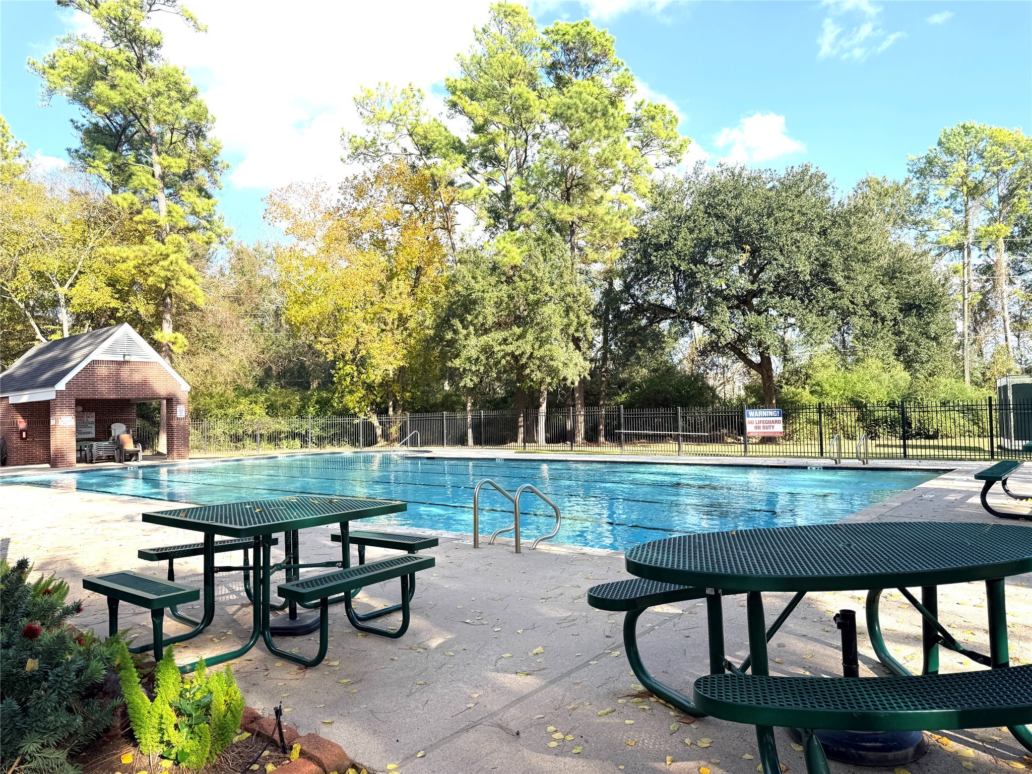 20403 Sagecombe Court Spring, TX 77388 - Photo 30 of 32