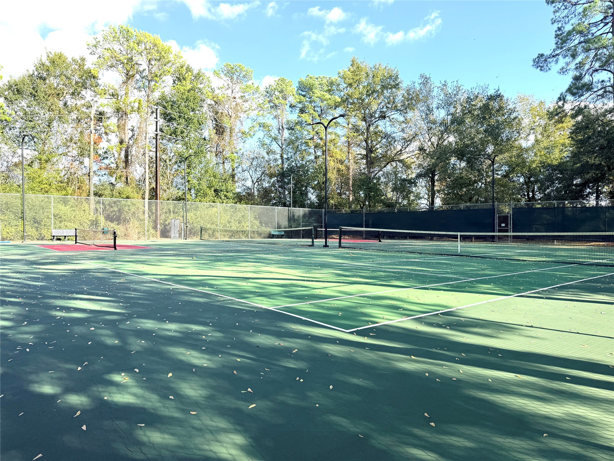 20403 Sagecombe Court Spring, TX 77388 - Photo 31 of 32