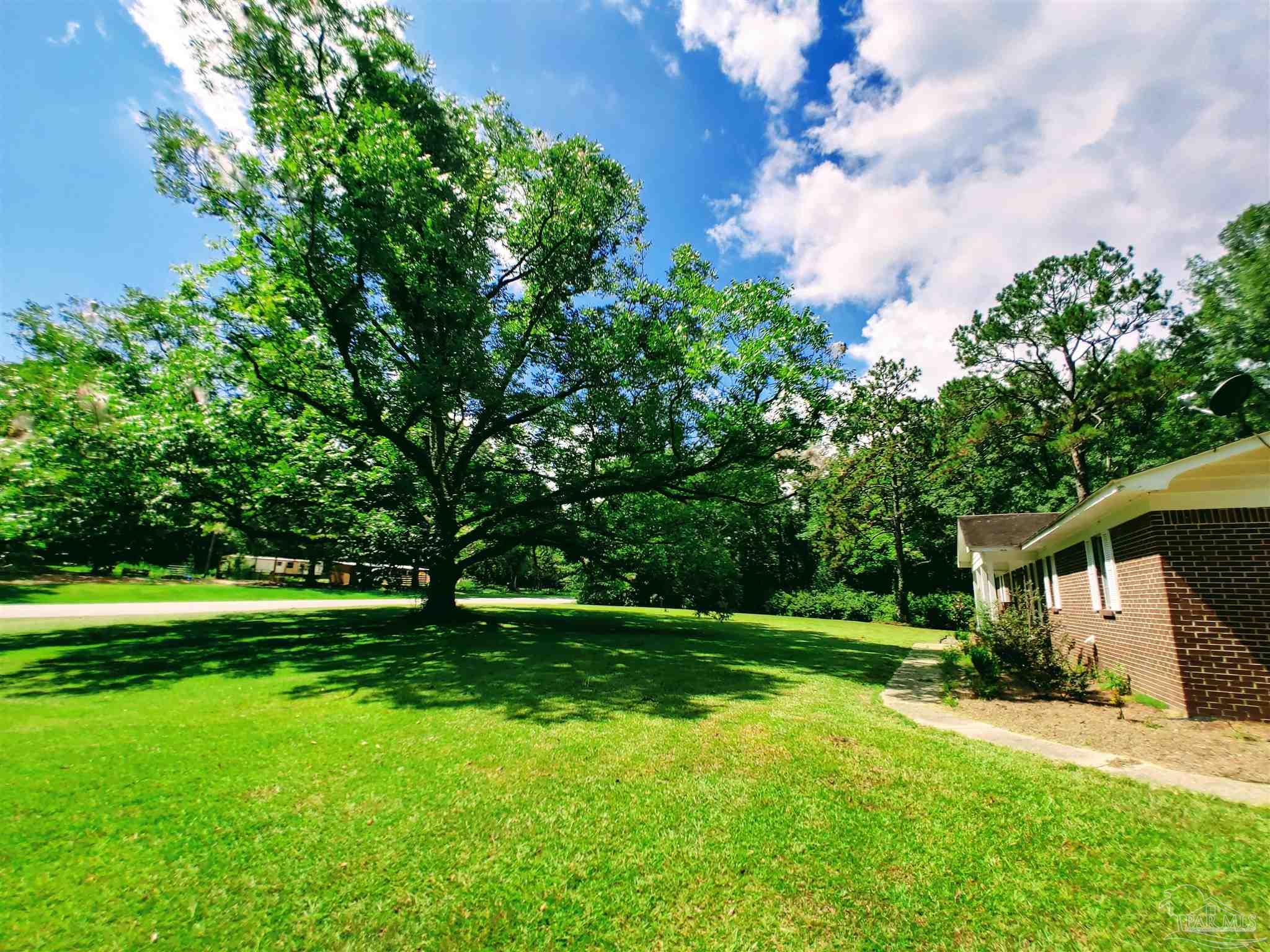 2934 Barlow Road Millry, AL 36558 - Photo 45 of 49