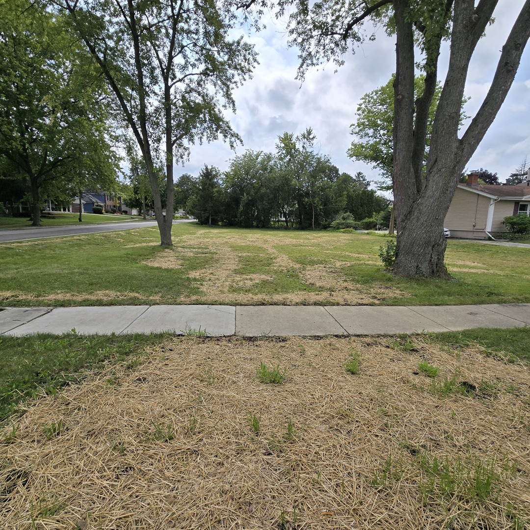 512 Pershing Avenue Wheaton, IL 60189 - Photo 2 of 3