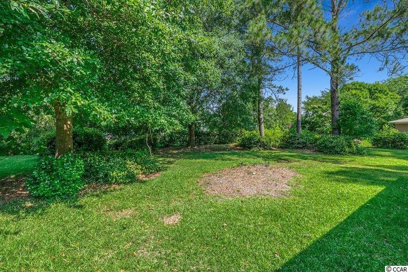 3605 Spivey Street Loris, SC 29569 - Photo 20 of 24 Gallery Image 20