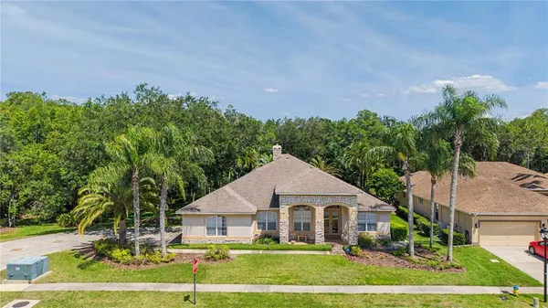 $970,000 | 18615 Chemille Drive, Lutz, FL 33558