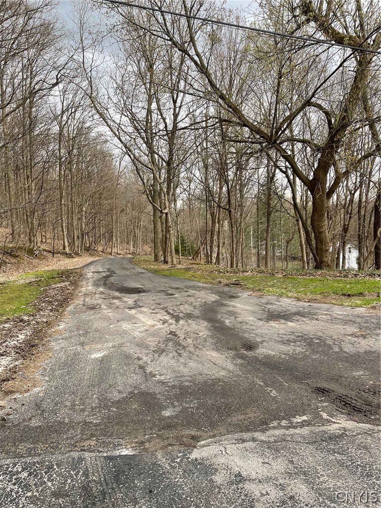 321 Rockwell Road Onondaga, NY 13120 - Photo 44 of 45 Winding driveway to the home