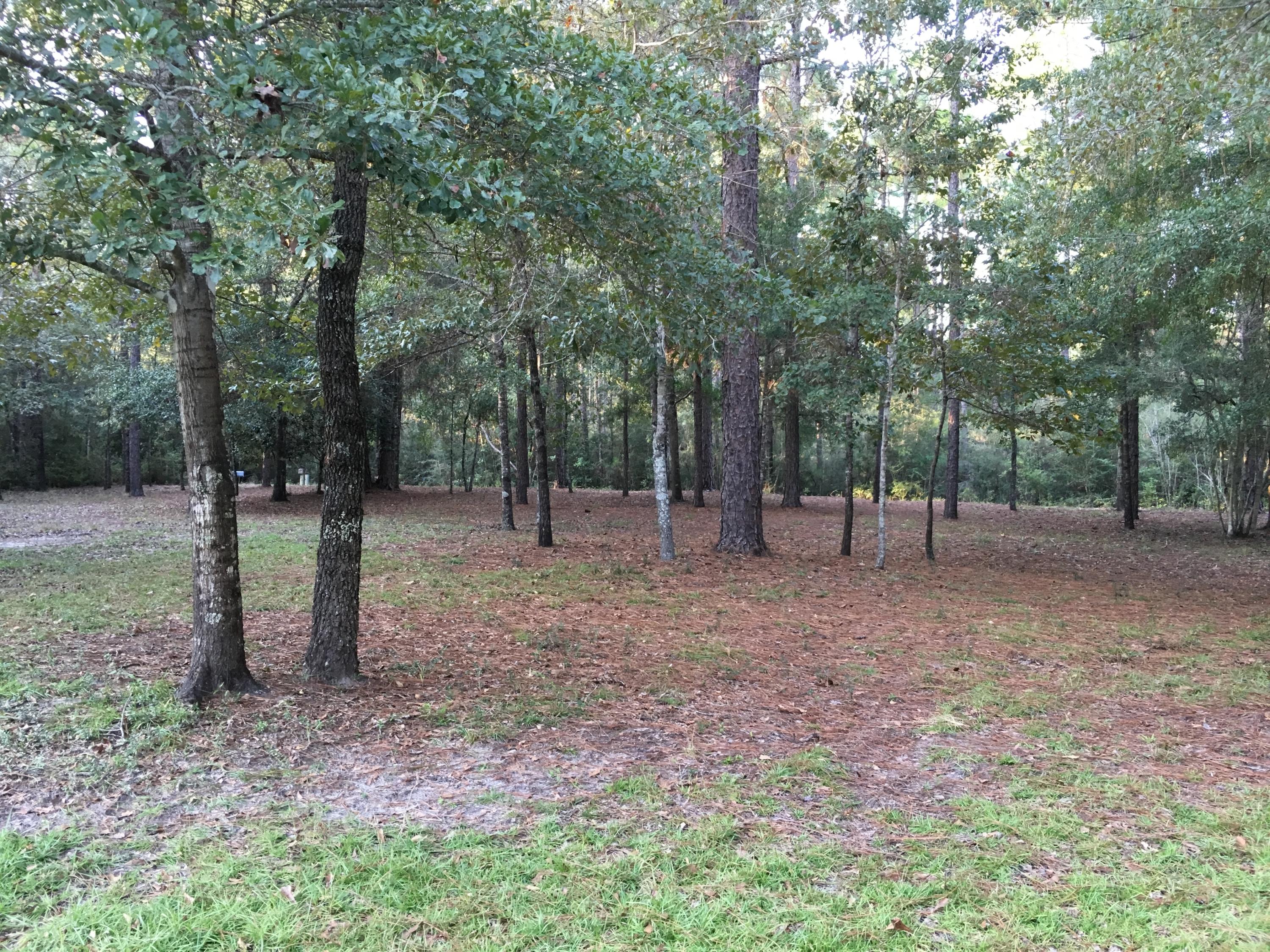 6135 Holloway Road Baker, FL 32531 - Photo 2 of 23 a view of outdoor space with lots of trees