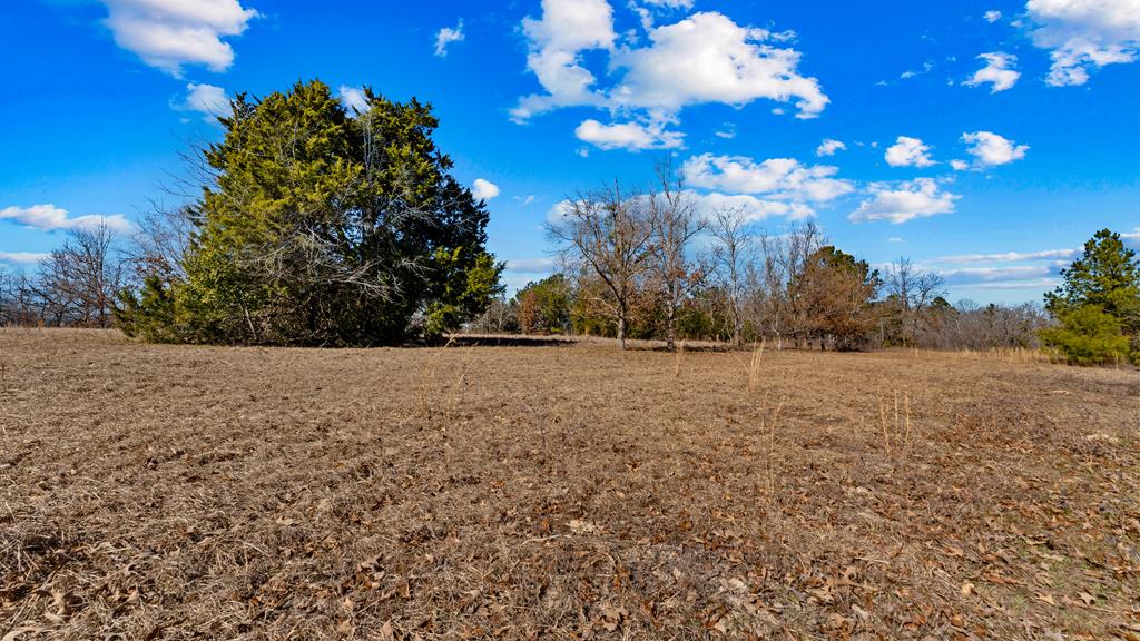 606 Herman Bell Road Mauk, GA 31058 - Photo 52 of 59 open pasture or food plot with sawtooth oaks