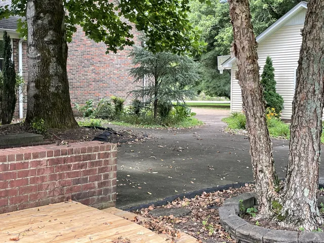 a view of a field of grass and trees