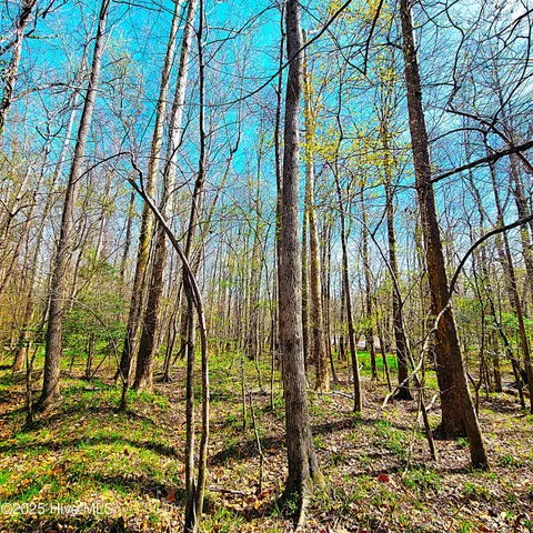 $1,790,000 | 84-acre 84-acre Private Island Cape, Leland, NC 28451