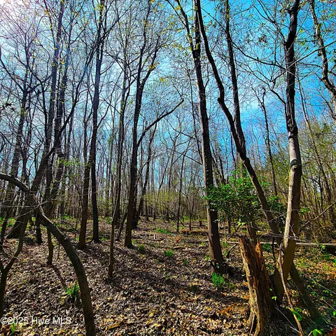 $1,790,000 | 84-acre 84-acre Private Island Cape, Leland, NC 28451