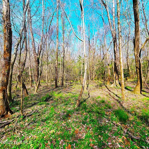 $1,790,000 | 84-acre 84-acre Private Island Cape, Leland, NC 28451