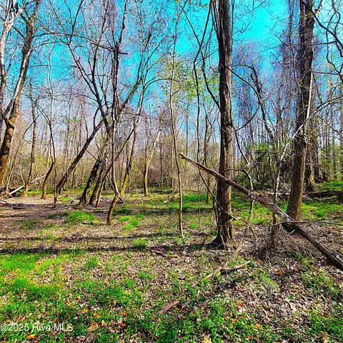 $1,790,000 | 84-acre 84-acre Private Island Cape, Leland, NC 28451