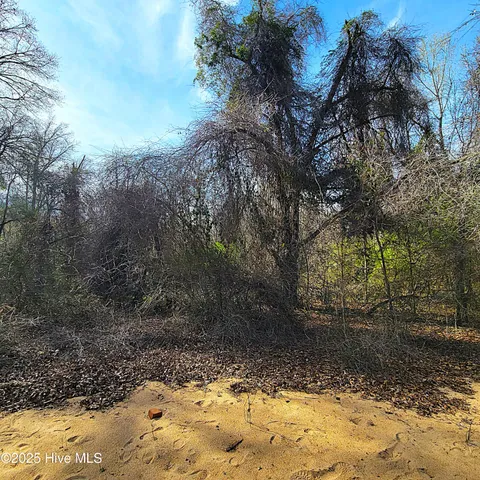 $1,790,000 | 84-acre 84-acre Private Island Cape, Leland, NC 28451