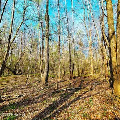 $1,790,000 | 84-acre 84-acre Private Island Cape, Leland, NC 28451