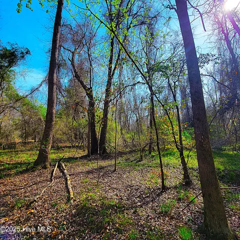 $1,790,000 | 84-acre 84-acre Private Island Cape, Leland, NC 28451